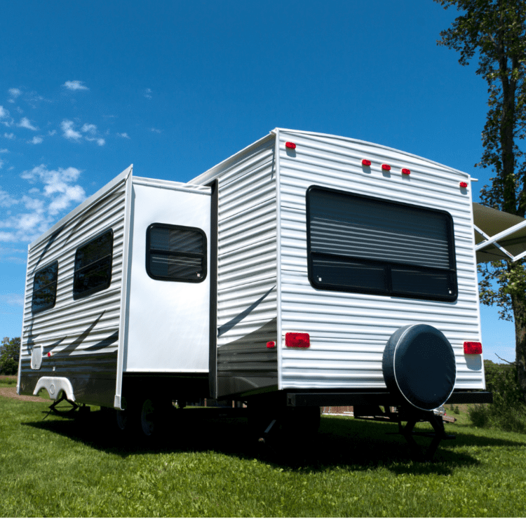 RV Cat